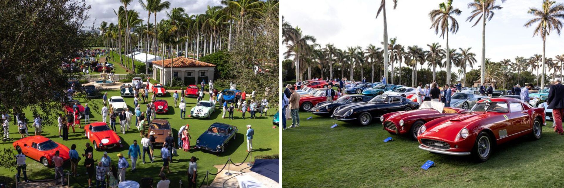 cavallino2.jpg